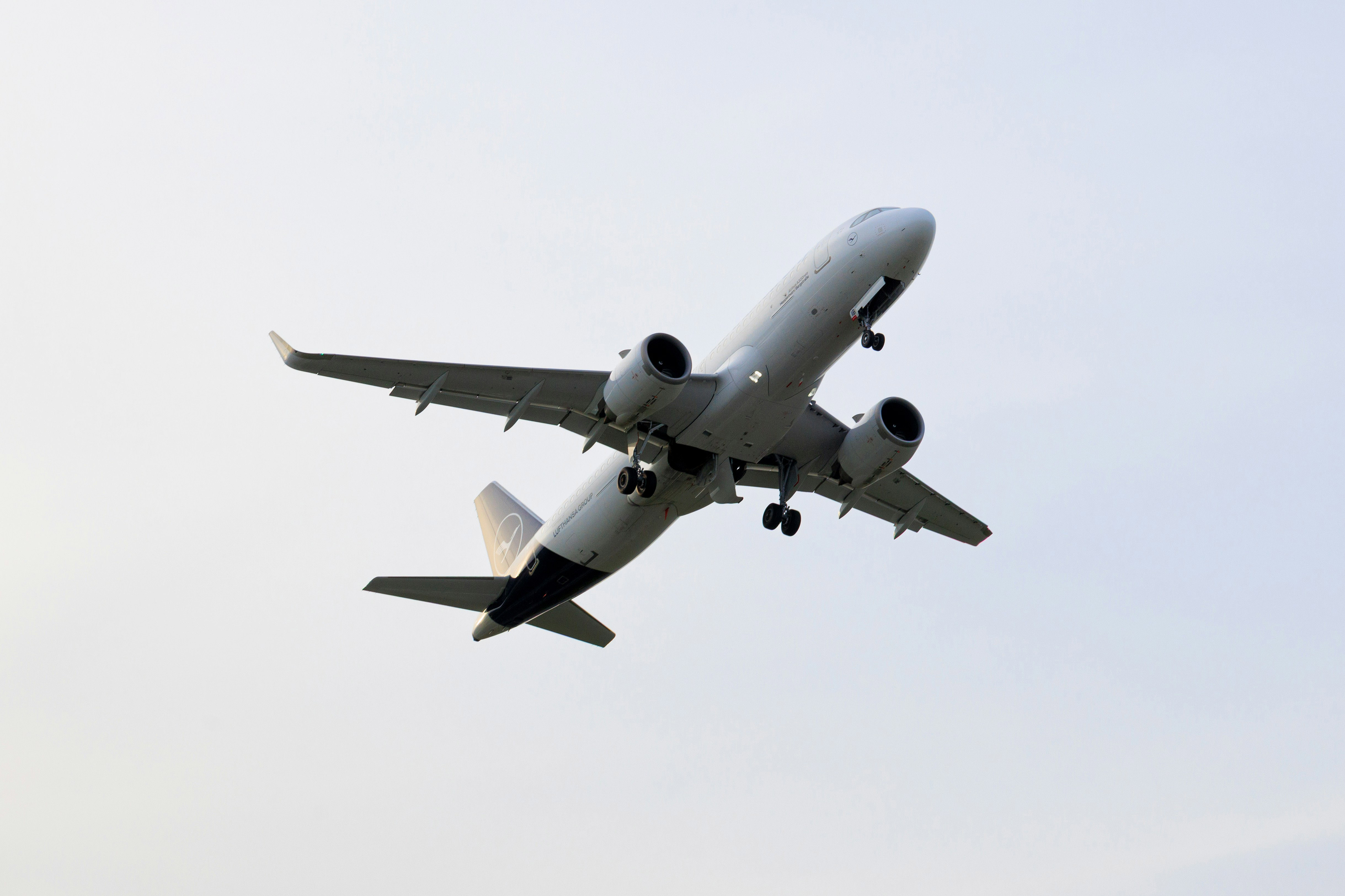 The underside of a plane flying overhead